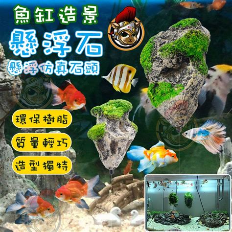 魚缸石頭種類|水族造景：類型設計及岩石搭配